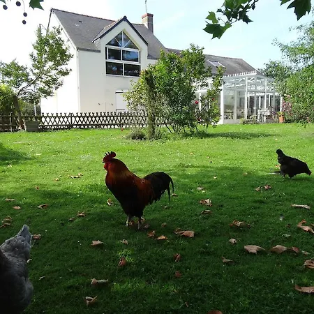 Bed & Breakfast Au Bas Chalonge D'hotes